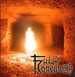 Fully Consumed cover art