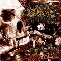 Perception of Hate cover art