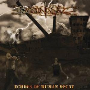Echoes Of Hyman Decay cover art