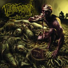 The Slow Decay of Infested Flesh cover art