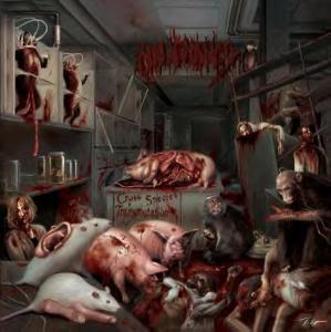 Cross Species Transmutation (EP) cover art