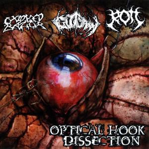 Optical Hook Dissection (3-Way Split) cover art
