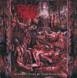 Gruesome Forms Of Distorted Libido cover art