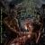 Katalepsy/Fleshrot/Blunt Force Trauma - Triumph Of Evilution cover art