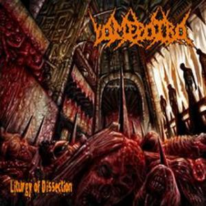 Liturgy Of Dissection cover art